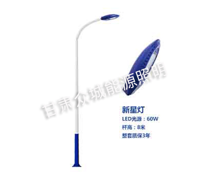 特克斯爆款市电路灯